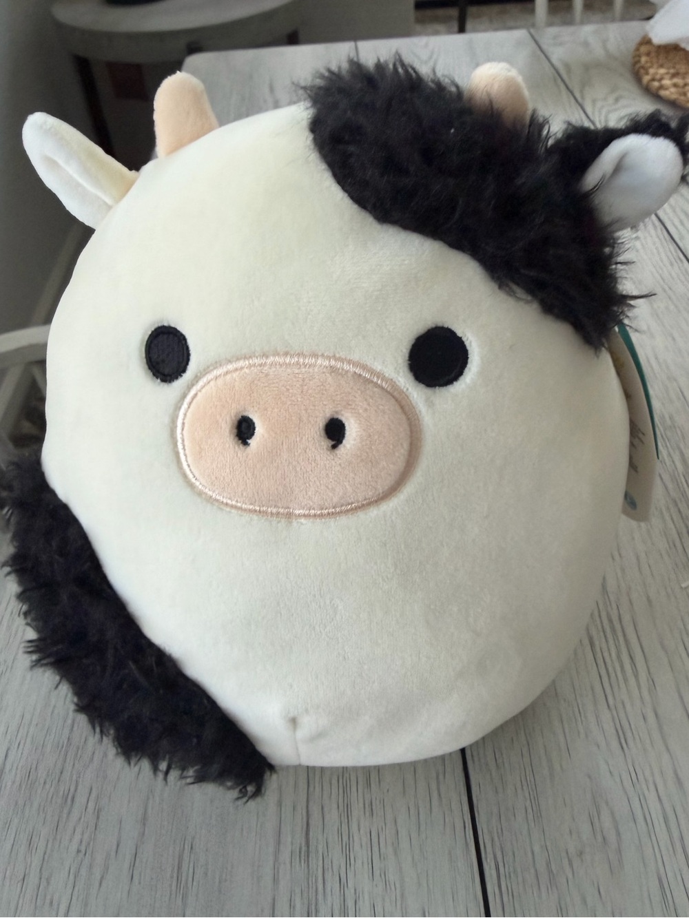 Squishmallows Original 8-Inch Connor the Cow with Fuzzy Patches Plush (NWT)
